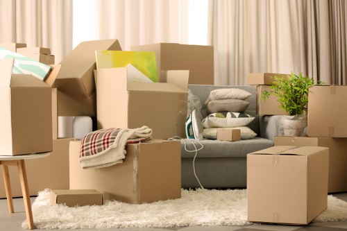 Escalating a removals complaint for further review